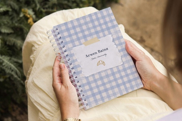 Diaries