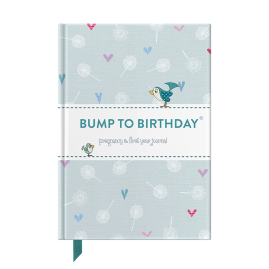 Bump to Birthday pregnancy & first year journal by from you to me