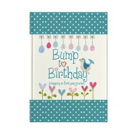 Bump To Birthday (Mummy & Mummy)