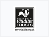 the wildlife trusts logo