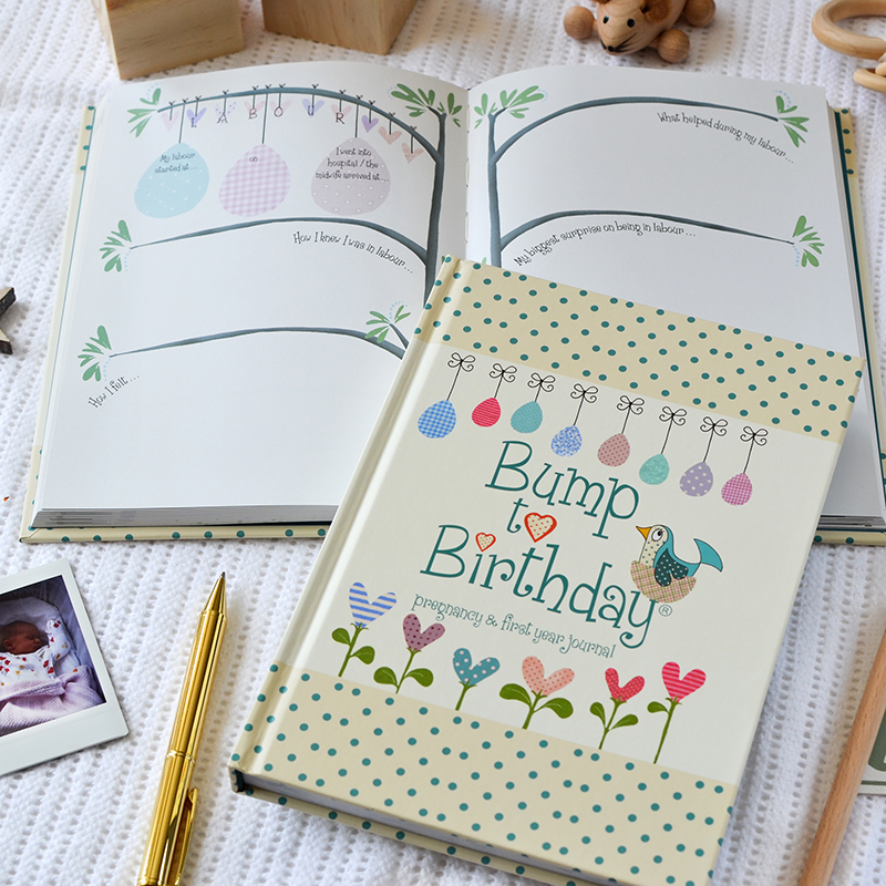 Pregnancy and sale baby memory book