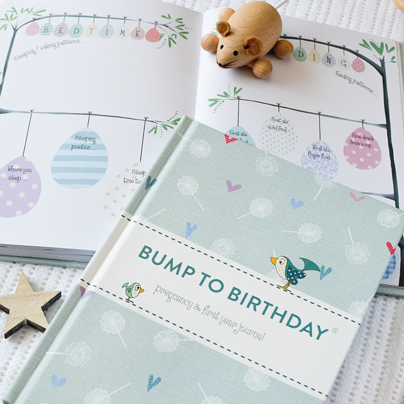 Bump to Birthday pregnancy first year journal Memory book for
